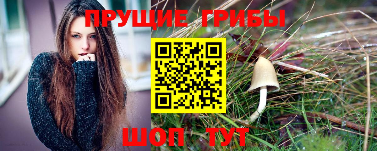 Псилоцибиновые грибы мицелий Кировск
