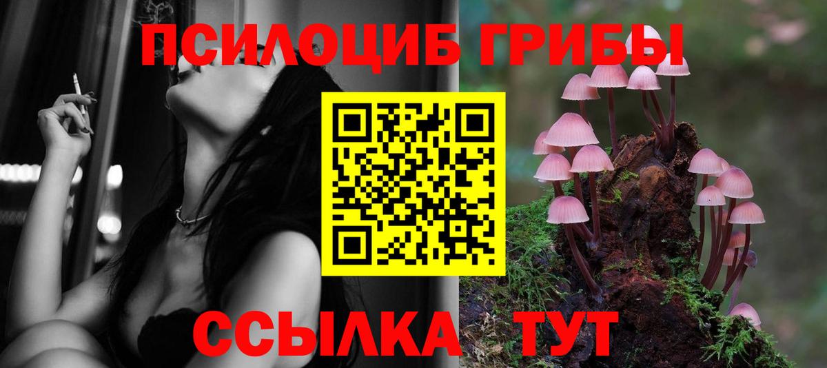 Кировск  Псилоцибиновые грибы MAGIC MUSHROOMS  Вход с VPN 